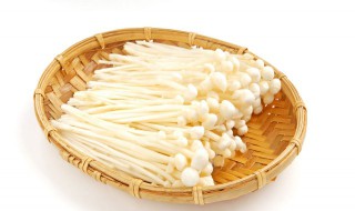 金针菇怎么吃好 金针菇都可以怎么吃
