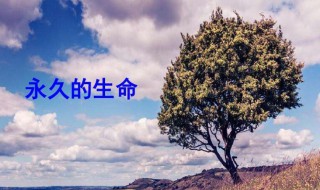 永久的生命读后感 永久的生命感悟