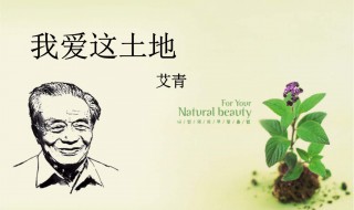 艾青诗选我爱这土地赏析 该诗表达了什么