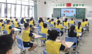 小海蒂读后感 读后感讲解