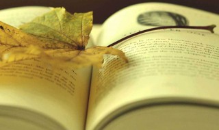 红泥小火炉绿蚁新醅酒全文 红泥小火炉绿蚁新醅酒全文列述