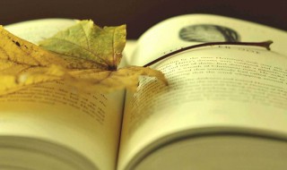 草房子好句赏析 草房子好句赏析列述