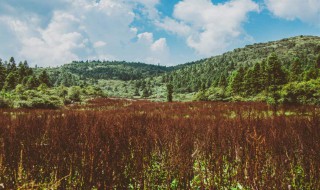 形容天气好的唯美句子 形容天气好的唯美句子有什么