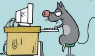 老鼠进家里怎么赶出去 方法介绍给大家