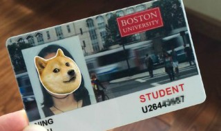 学生卡丢了怎么补办 学生卡丢了补办的方法