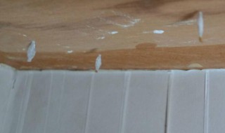 家里有白蚁怎么办 家里有白蚁如何解决