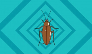 家庭灭蟑螂最好方法 家庭灭蟑螂好方法介绍