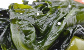 裙带菜怎么做啊 裙带菜做法简述