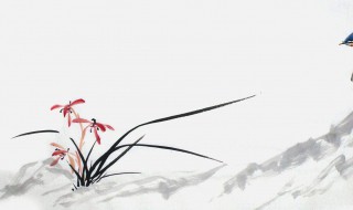 关于兰花的诗词 关于兰花的诗句有哪些