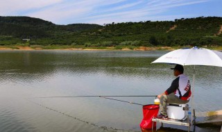 水库垂钓技巧 怎么更容易钓上鱼