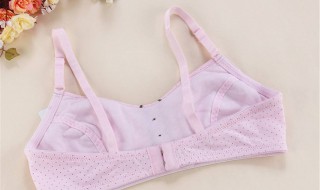 内衣学生怎么选 选内衣学生方法