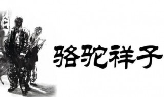 骆驼祥子读后感 你看过吗