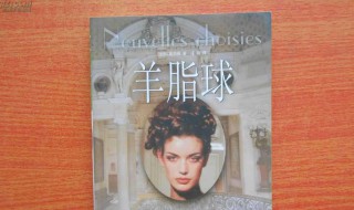 羊脂球读后感 读羊脂球有感