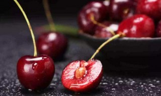 车厘子和樱桃是什么关系蚂蚁庄园 车厘子是樱桃吗？