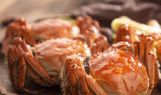 怎样挑选好的蟹 这五大标准非常好用