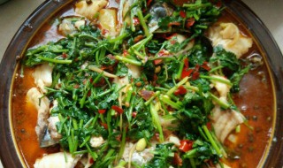 正宗川菜水煮鱼做法 正宗川菜水煮鱼做法介绍