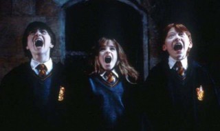 哈利波特的生日 她的个人资料是怎样的