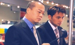 欧阳震华主演的电视剧 欧阳震华主演的电视剧列述