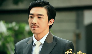 爱在春天电视剧大结局 爱在春天电视剧大结局简介