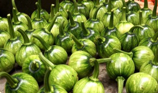 新鲜嫩南瓜怎么做好吃 清炒嫩南瓜简单做法