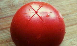 番茄煮熟皮就皱了是为什么 是怎么解释的