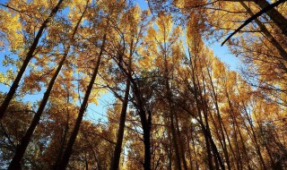 九月心情好的说说 有哪些好的句子