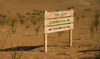 能量双击卡怎么获得 有什么获得的方法