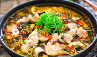 草鱼酸菜鱼的做法 草鱼酸菜鱼的做法介绍