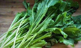 雪里红酸菜的做法 雪里红酸菜怎么做