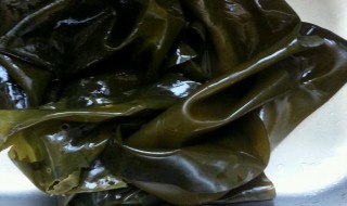 酸辣海带根的做法 酸辣海带根的做法简述