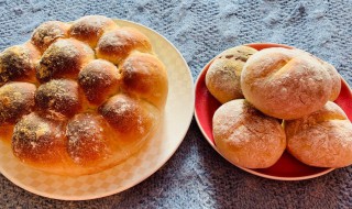 酸奶夹心面包的做法 酸奶夹心面包怎么做