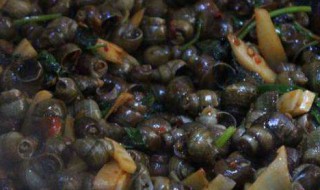 酸笋煮田螺 如何煮田螺