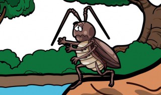 消灭蟑螂用什么办法 消灭蟑螂的办法介绍