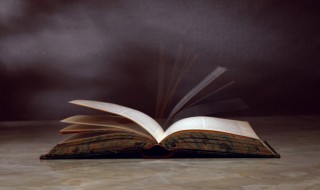 类比是什么意思 类比的意思