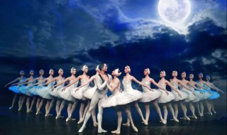 天鹅湖故事简介 天鹅湖作者简介