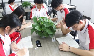 手不释卷的故事简介 手不释卷的故事解释