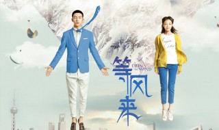 等风来电影简介 等风来电影简介是什么