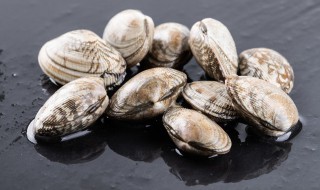 蛤蜊如何清洗 蛤蜊的清洗方法