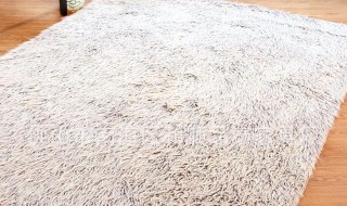 毛垫子如何清洗 如何清洗毛垫子