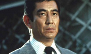 追捕电影简介 关于电影追捕简介