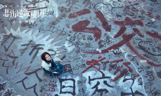 悲伤逆流成河电影简介 悲伤逆流成河介绍