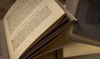 赵氏的由来简介 赵氏的由来介绍