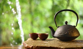 茶的由来简介 茶的由来介绍