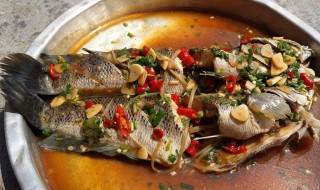 炖黑鱼的家常做法 炖黑鱼做法