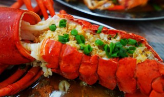 家常清蒸澳洲龙虾做法 清蒸澳洲龙虾简单做法