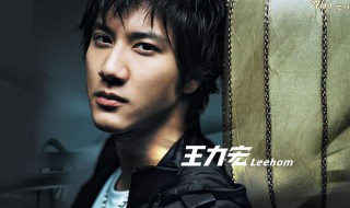 唯一歌词王力宏 唯一歌曲简介