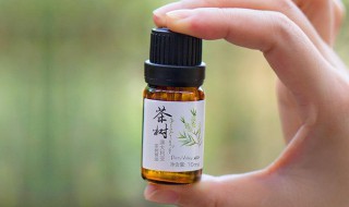茶树精油的作用和功效 茶树精油有什么优点呢