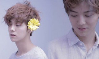 鹿晗的歌词大全 鹿晗的歌词