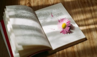 快乐王子读后感 读快乐王子有感