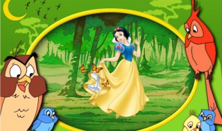 白雪公主的读后感 读白雪公主有后感